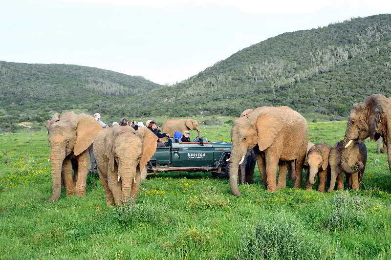 Kariega Game Reserve Bushman's River Mouth Dış mekan fotoğraf