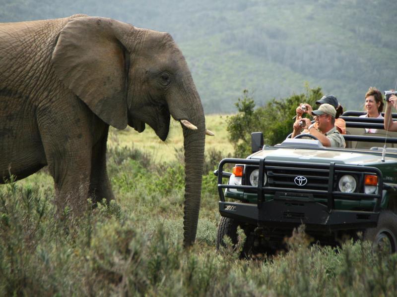 Kariega Game Reserve Bushman's River Mouth Dış mekan fotoğraf