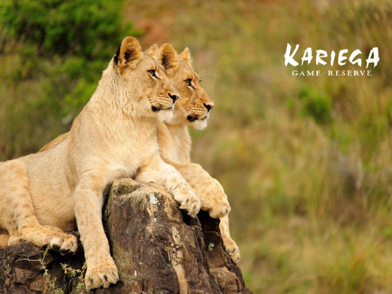 Kariega Game Reserve Bushman's River Mouth Dış mekan fotoğraf